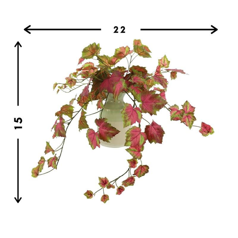 26" Trailing Variegated Ivy in Ceramic Vase - Green
