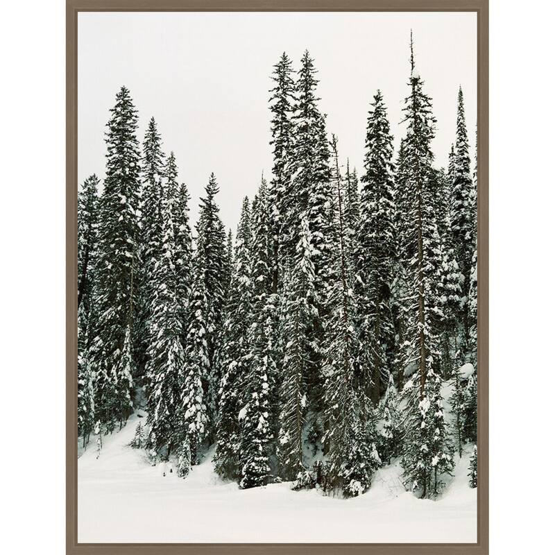 Winter Trees I by Justine Milton (23 x 30 in.), Framed Canvas Wall Art Print - Sylvie Dark Gold