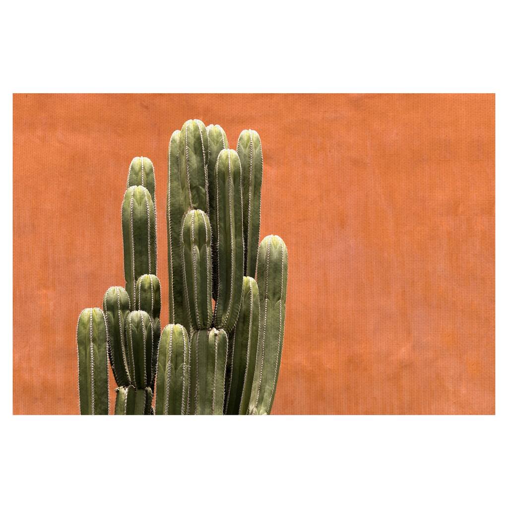 Amber Succulent by Belle Maison Canvas Art Print