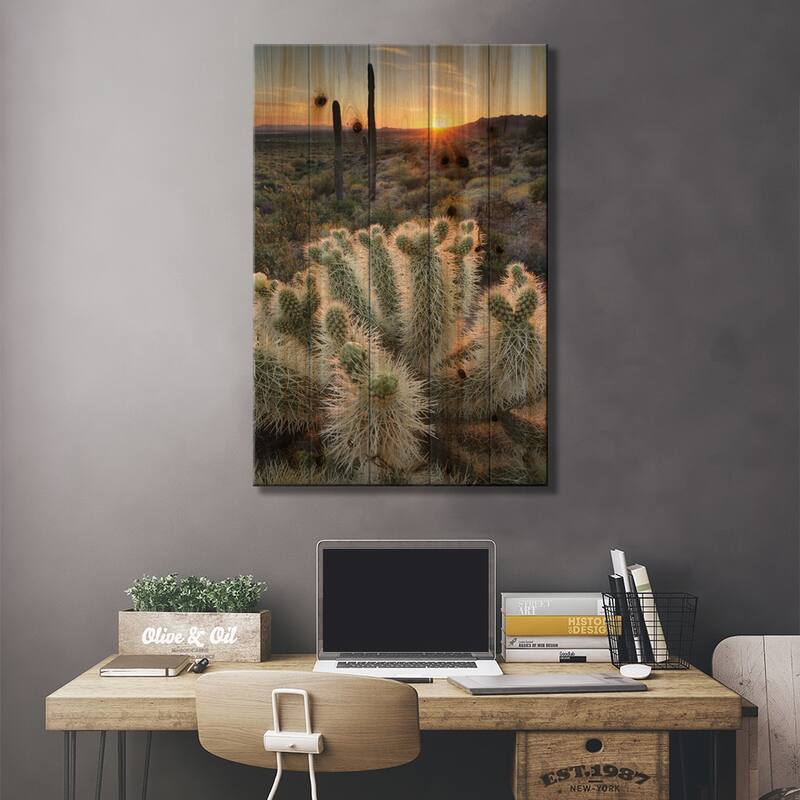 USA, Arizona. Teddy Bear Cholla cactus illuminated by the setting sun, Superstition Mountains. Print On Wood by Alan Majchrowicz