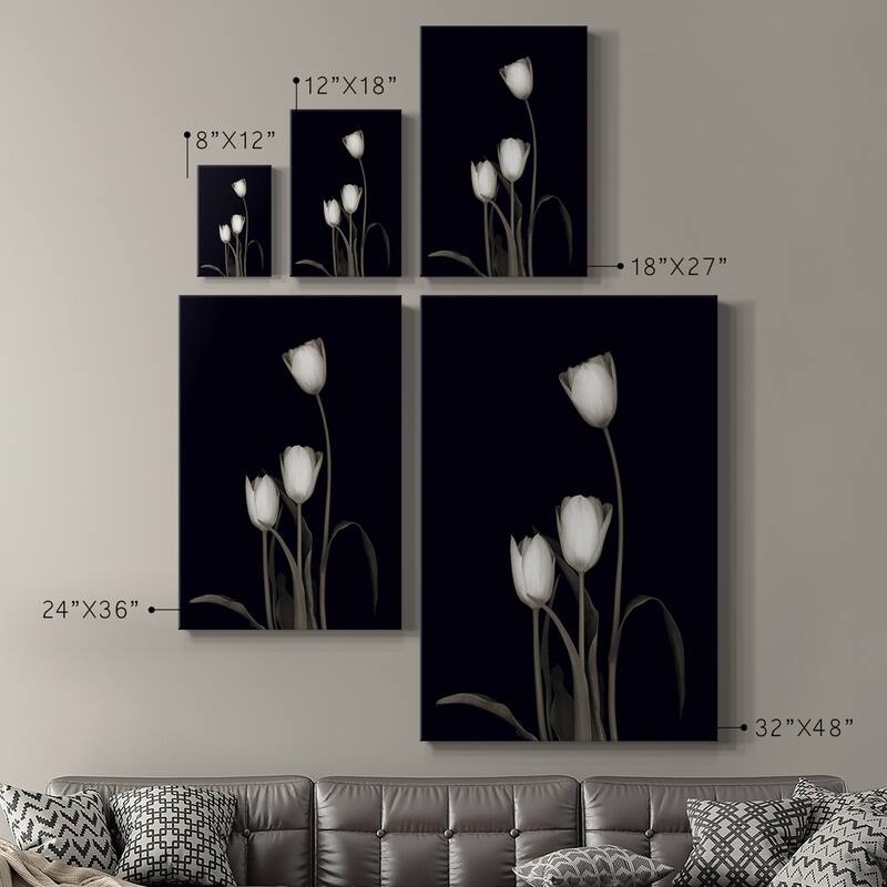 Tulip Pose III Premium Gallery Wrapped Canvas - Ready to Hang