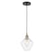 Option Black Antique Brass / Seedy