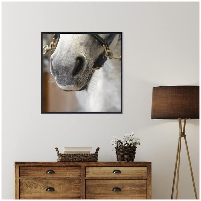 Kate and Laurel Barn Day Horse by Emiko and Mark Franzen F2 Images Framed Canvas Wall Art Print