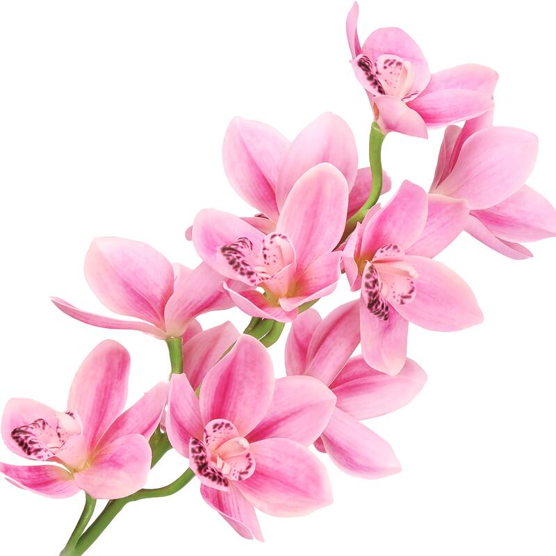Set of 2 Large Fuchsia Pink Artificial Cymbidium Orchid Flower Stem Spray 31in - 31" L x 7" W x 7" DP