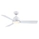 preview thumbnail 10 of 11, Fanimation Starboard L 52 inch Indoor/Outdoor Marine Grade Ceiling fan with LED CCT Select Light Kit and Remote