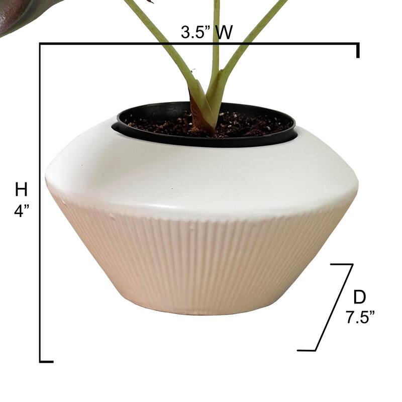 Ceramic Flower Planter, Ceramic Pot Planter, Plant Pots Indoor Ceramic, Ceramic Pot