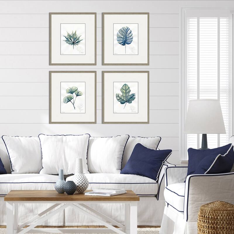 Plant Drawings S/4 Framed Art Exclusive Giclee Under Glass - Blue