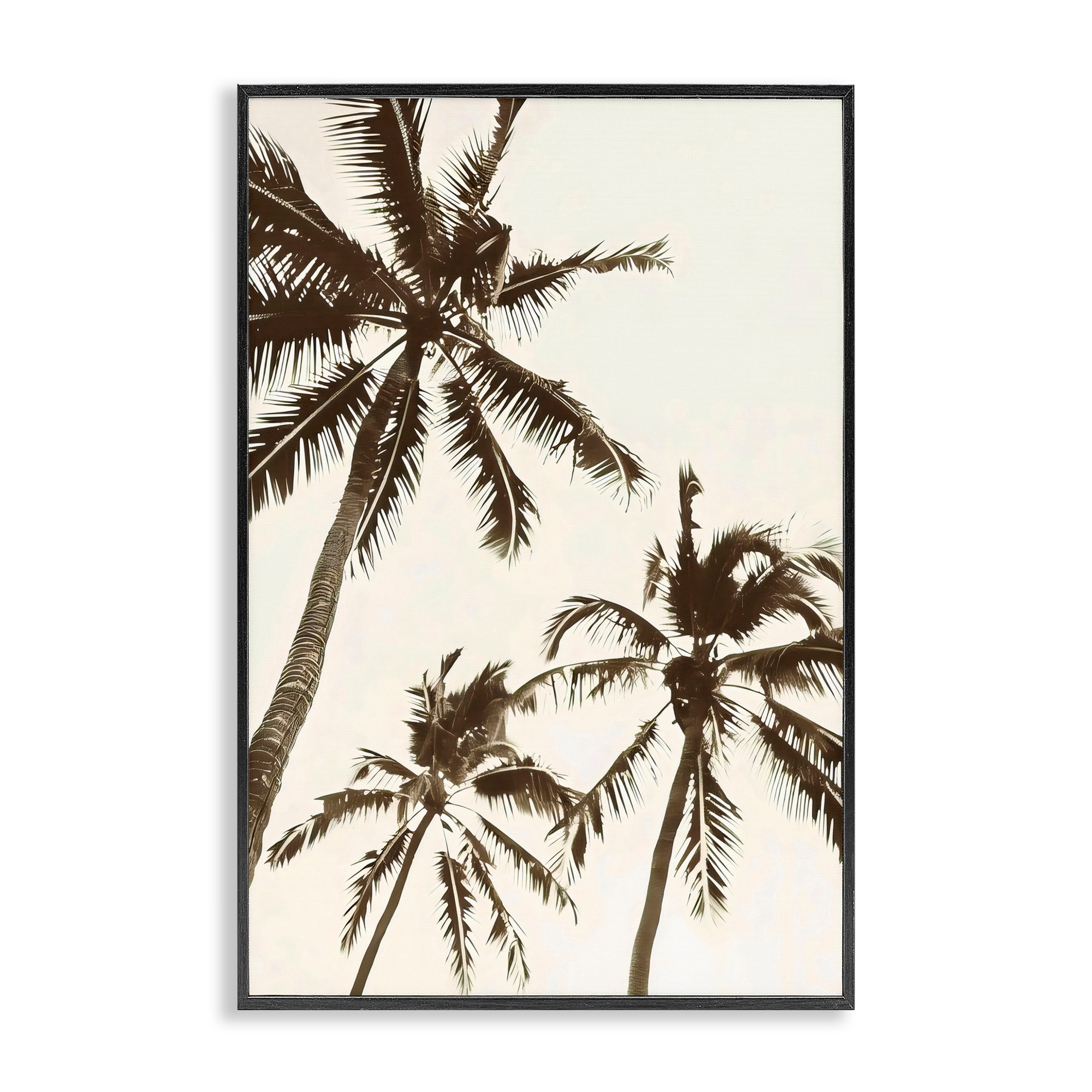 Stupell Classic Palm Trees Silhouette Framed Giclee Art Design By LSR Design Studio
