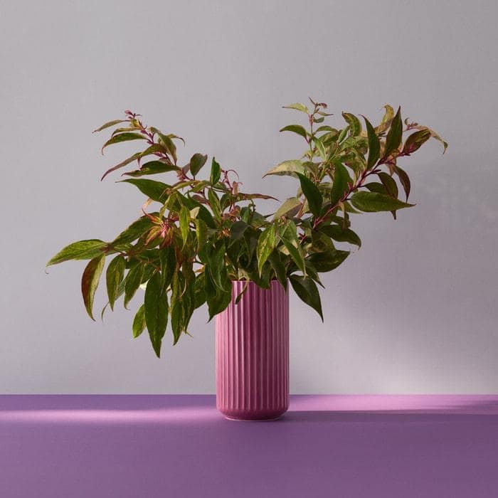 Lyngby Porcelæn Vase, Purple - H: 8.1"