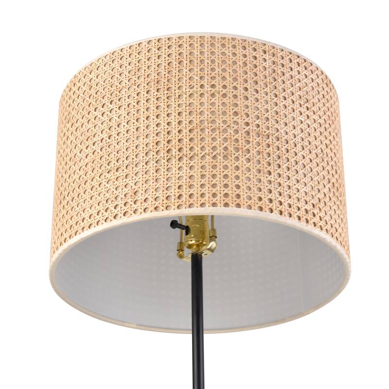 Elk Home Baitz 62.5'' High 1-Light Floor Lamp - Matte Black