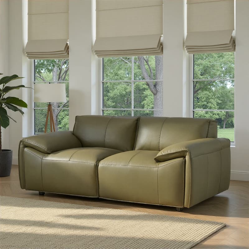 Tanner Top Grain Leather Loveseat, Sofa, or Living Room Set with Padded Arms - Loveseat - Green
