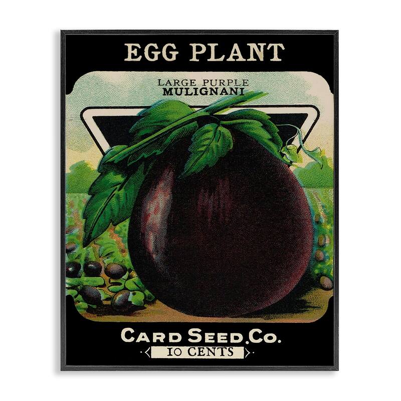 Stupell Vintage Garden Eggplant Framed Giclee Art Design By Lil' Rue - 16 x 20 - Black