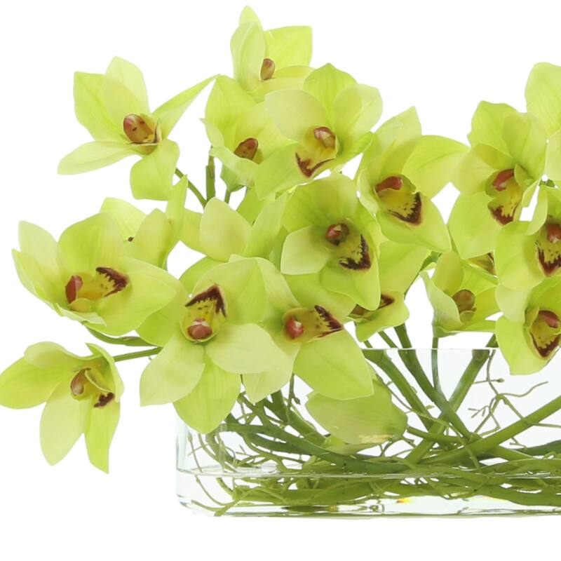 Cymbidium Orchid a with Vine in a Glass Vase