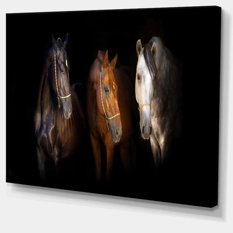 Designart "Three Horses with Golden Bridle" Animal Canvas Art Print