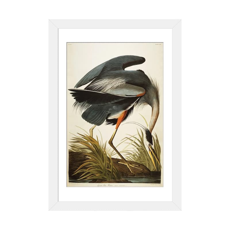 iCanvas "Great Blue Heron " by John James Audubon - White - 24x16x1