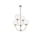 Option Black and Brass
