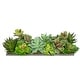 preview thumbnail 3 of 10, Faux Succulent Garden in Wood Washed Ledge Planter