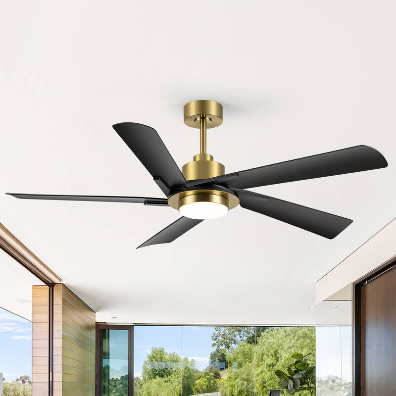 60" Modern Black ABS 5-Blade Propeller Ceiling Fan with Light and Remote
