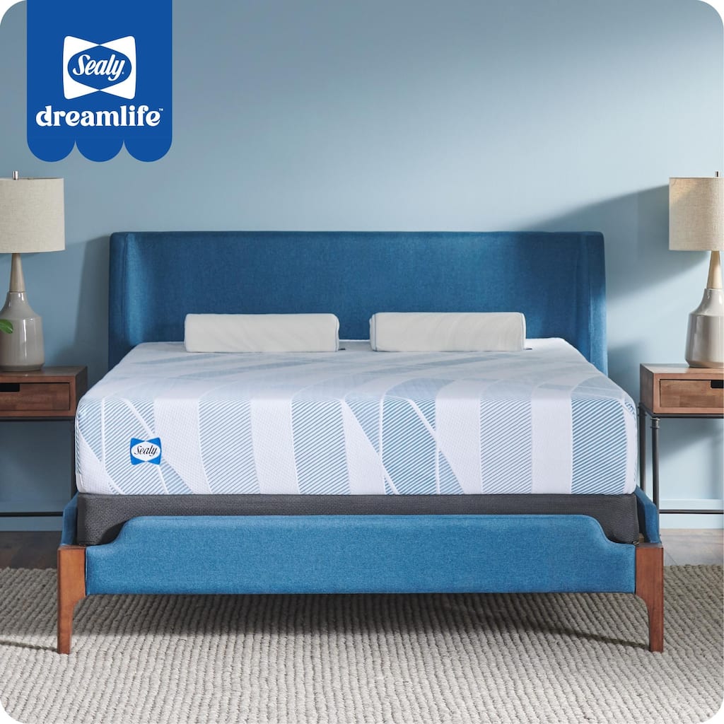 Sealy Dreamlife 10" Foam Mattress-in-a-Box
