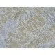preview thumbnail 6 of 10, Hand Knotted Ivory Modern with Wool & Silk Oriental Rug (9' x 11'11") - 9' x 11'11"