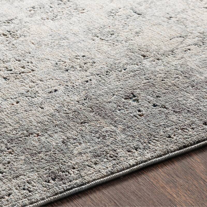 Harlan Distressed Traditional Area Rug - 3'3" x 8' Runner