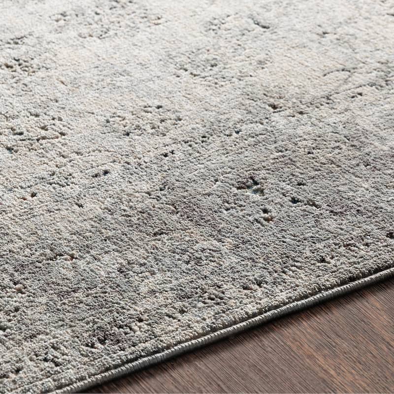 Harlan Distressed Traditional Grey Area Rug - 8'10" x 13'1"