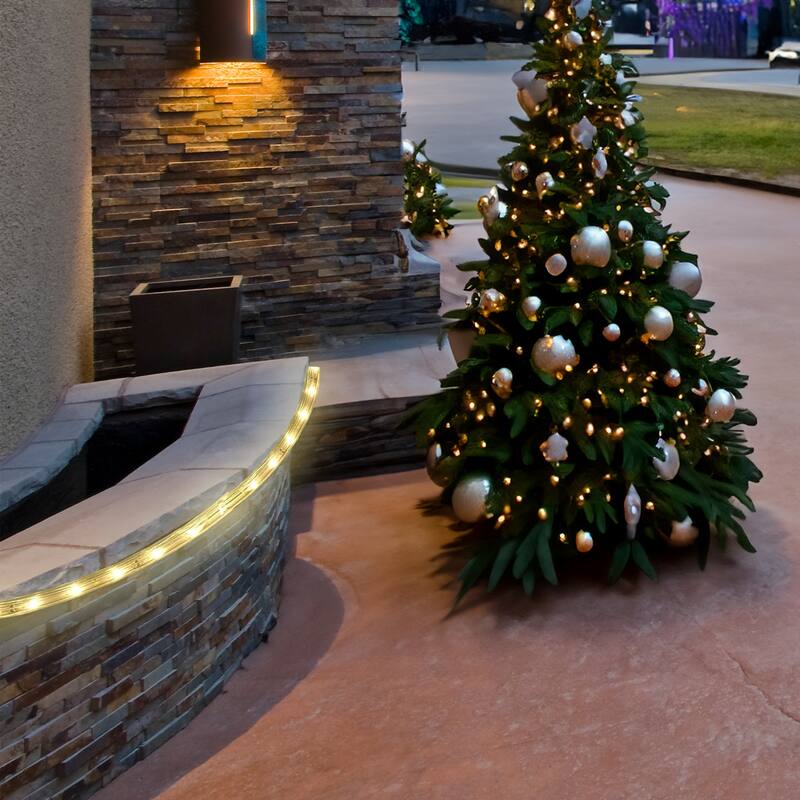 100' LED Christmas Rope Lights