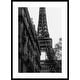 preview thumbnail 1 of 5, Tour Eiffel - Eiffel Tower by Pictufy Studio III Wood Framed Wall Art Print