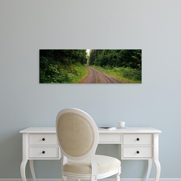 Easy Art Prints Panoramic Image 'Road passing through a forest, Olympic National Park, Washington State' Canvas Art