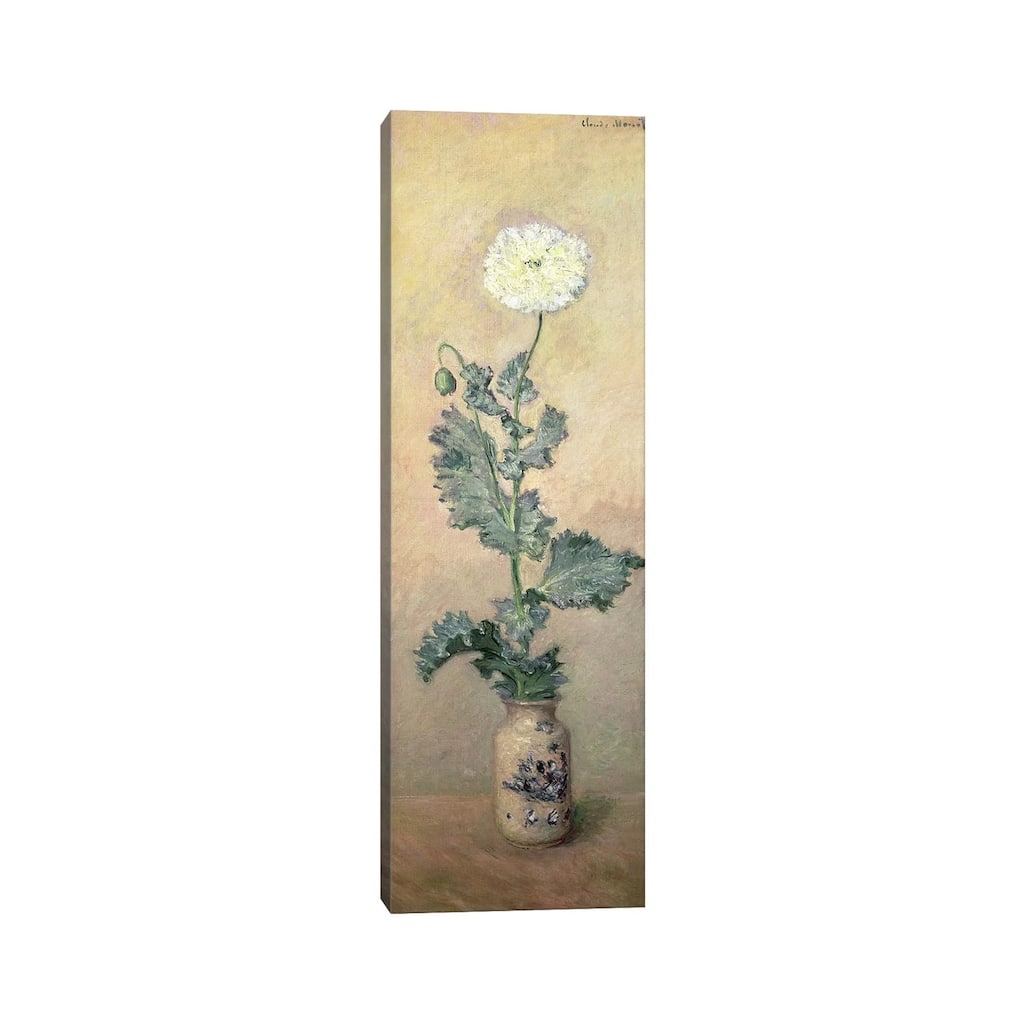 iCanvas "White Poppy, 1883 " by Claude Monet Canvas Print
