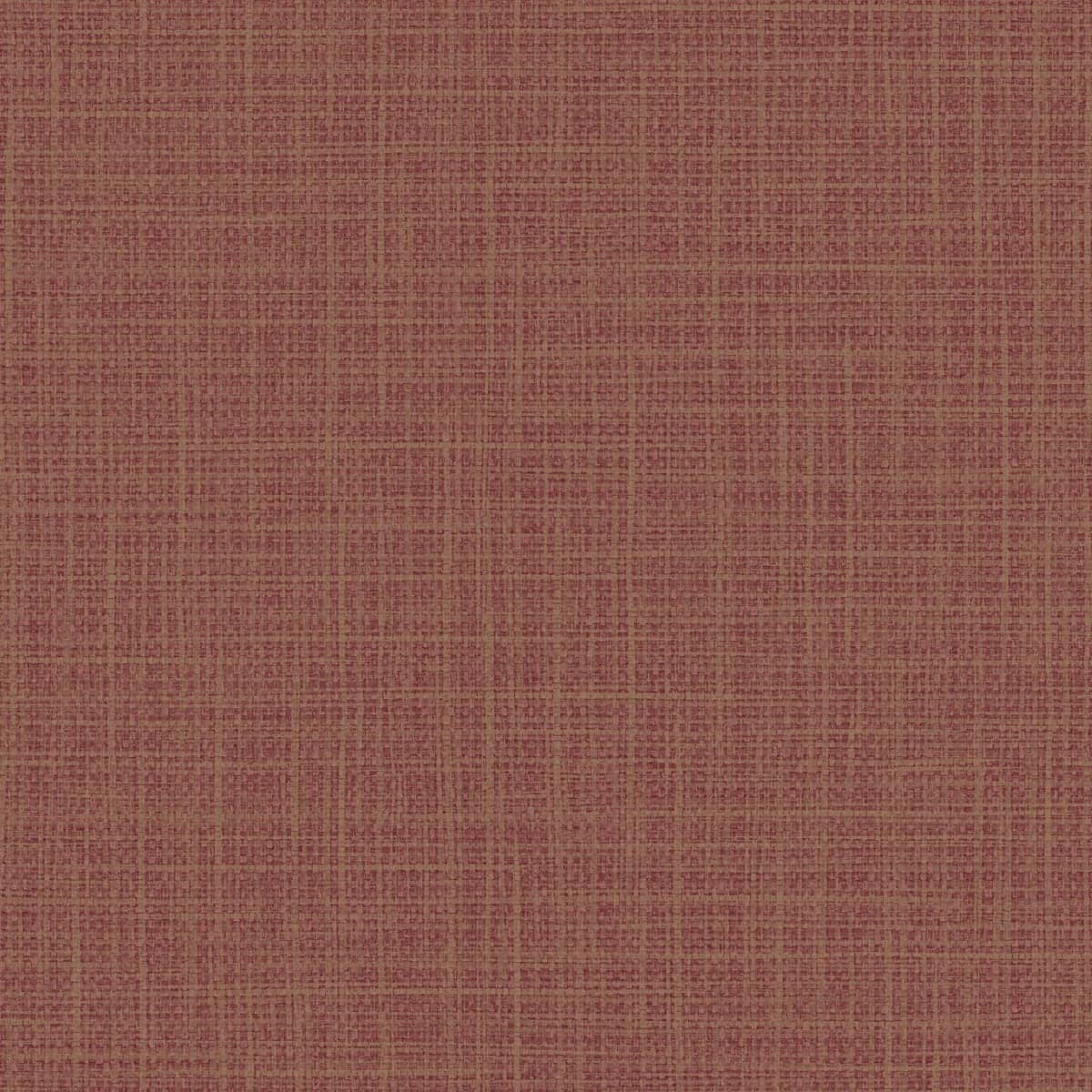 Option Cabernet