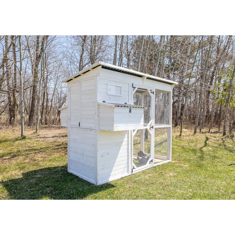 Zylina Modern Walk-in Chicken Coop
