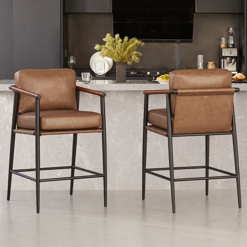 Spruce & Spring Chris Modern Counter Stools Set with Metal & Wood - Set of 2