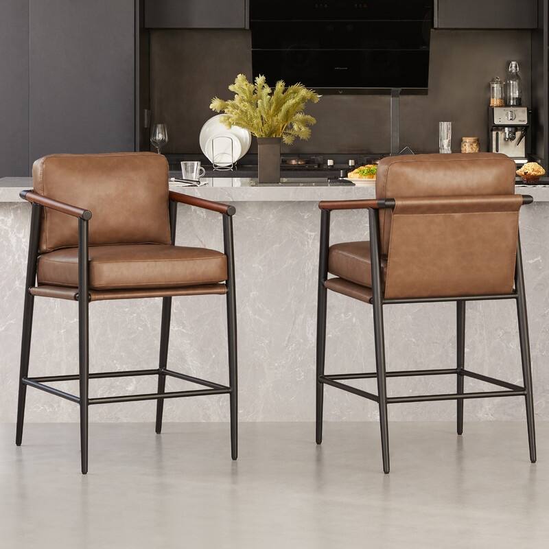 Chris Modern Counter Stools Set with Metal & Wood - Set of 2