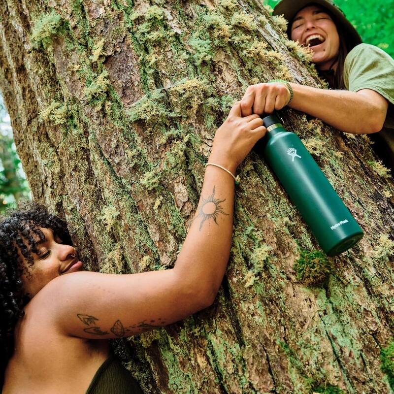 Hydro Flask Standard Mouth Vacuum Insulation Water Bottle, 24oz, Fir Green