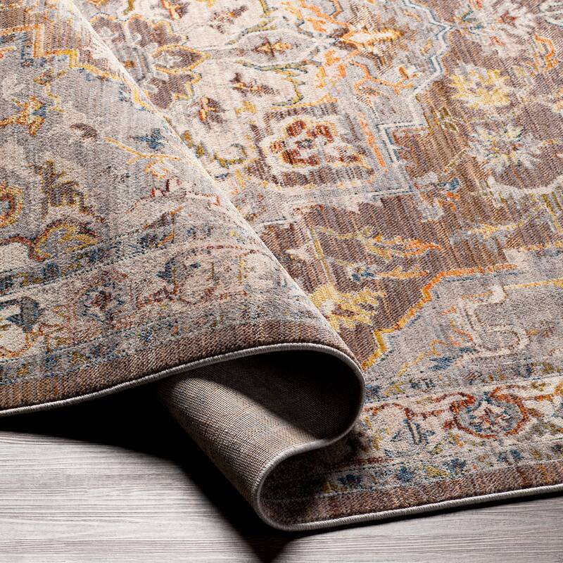 Livabliss Pedram Vintage Medallion Area Rug