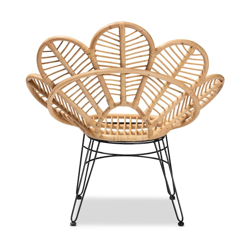 Garan Modern Bohemian Natural Brown Rattan & Black Metal Accent Chair