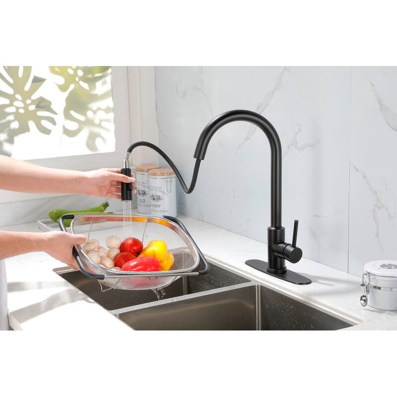 Kitchen Faucet with Pull Down Sprayer - Matte Black