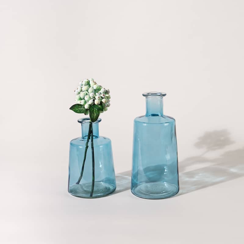 Glass Bottle Vase (Set of 2)