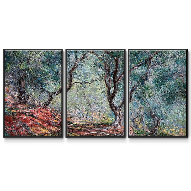 Olive Tree in the Moreno Garden, 1884 - Multi Piece Framed Canvas