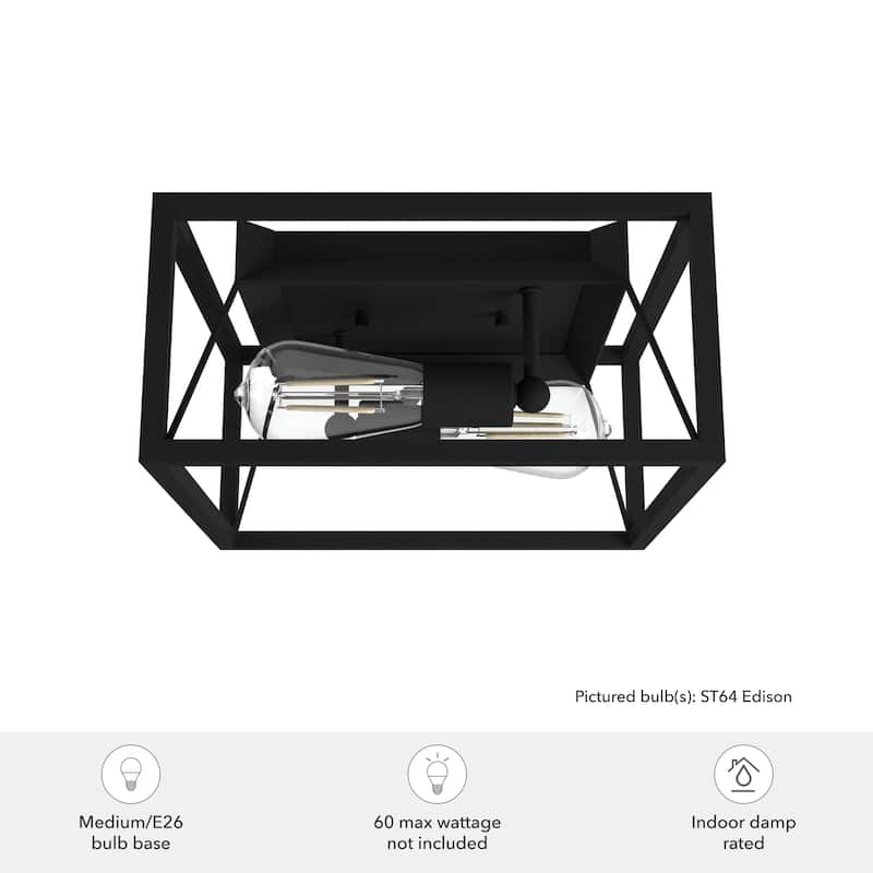 Hunter Doherty 2-Light Flush Mount Ceiling Light - Industrial, Contemporary, Transitional - Low Profile!