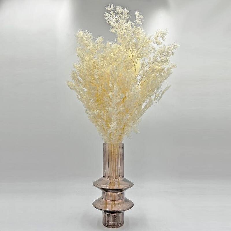 Bundle of 4 Preserved Asparagus Fern,12-20 inches long - 12-20 inch