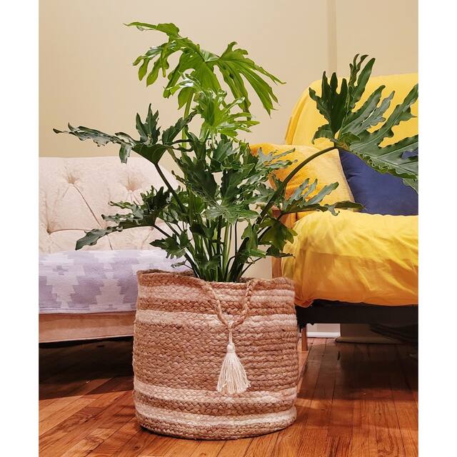 LR Home Montego Striped Natural Jute 17-inch Storage Basket - 17" x 17" x 17"