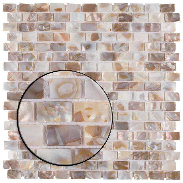 Merola Tile Conchella Subway Natural 12.25" x 12.5" Natural Seashell Mosaic Tile