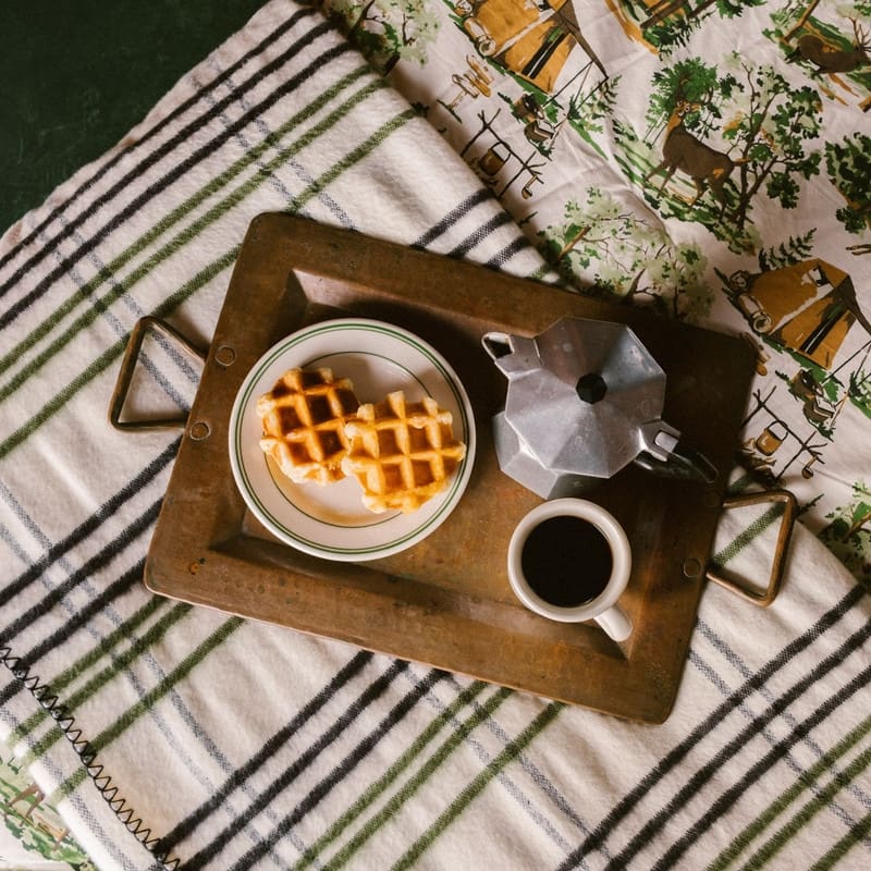 Camp Wandawega Oversized Plaid Throw - Throw