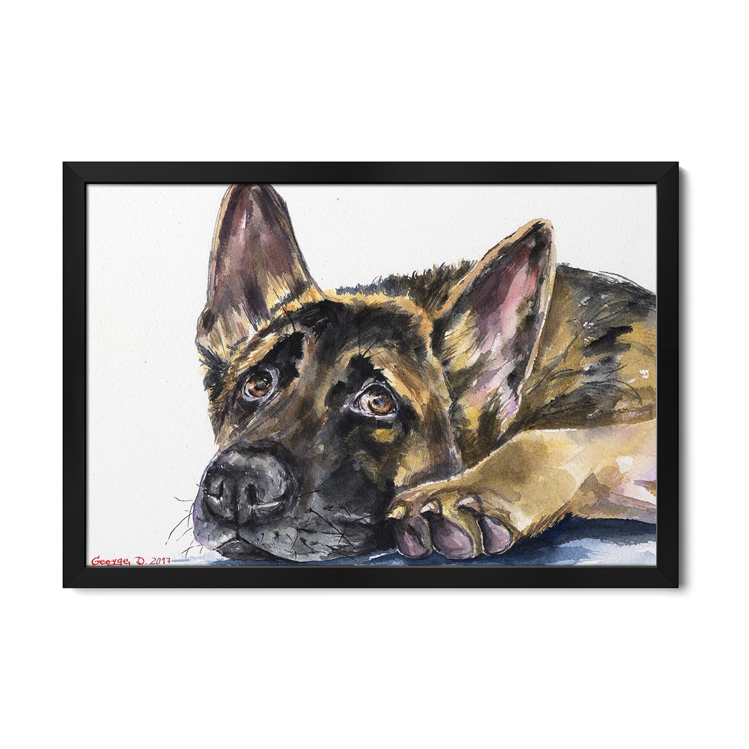 German Shepherd Premium Framed Poster by George Dyachenko