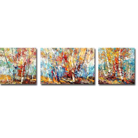 Color Burst 1, 2, & 3 by Dean Bradshaw 3-pc Gallery Wrapped Canvas Giclee Set (16 in x 56 in Overall Size)
