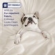 preview thumbnail 33 of 53, 100% Cotton Sateen Weave Solid Duvet Cover Set - Includes 1 Duvet Cover & 2 Pillow Sham Set