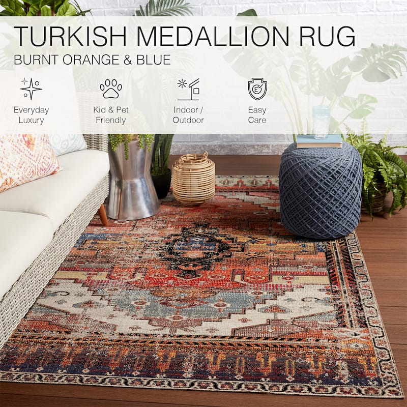 Cicero Indoor and Outdoor Medallion Area Rug