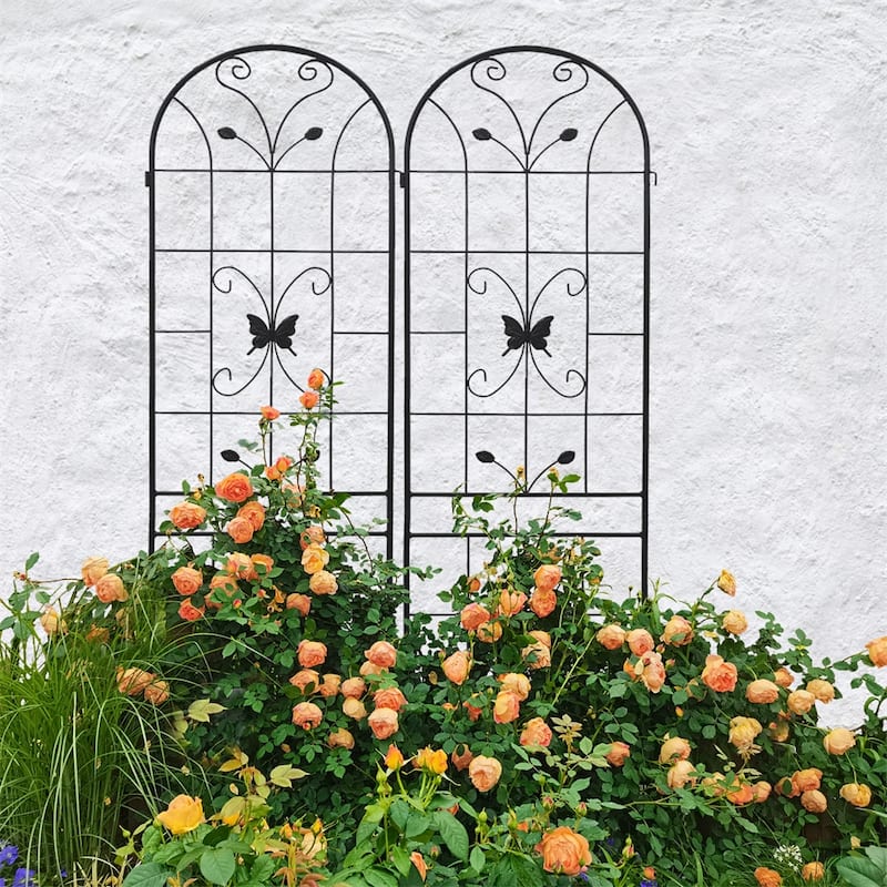 4 Pack Metal Garden Rustproof Trellis for Climbing Plants